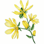 Praxis für Osteopathie